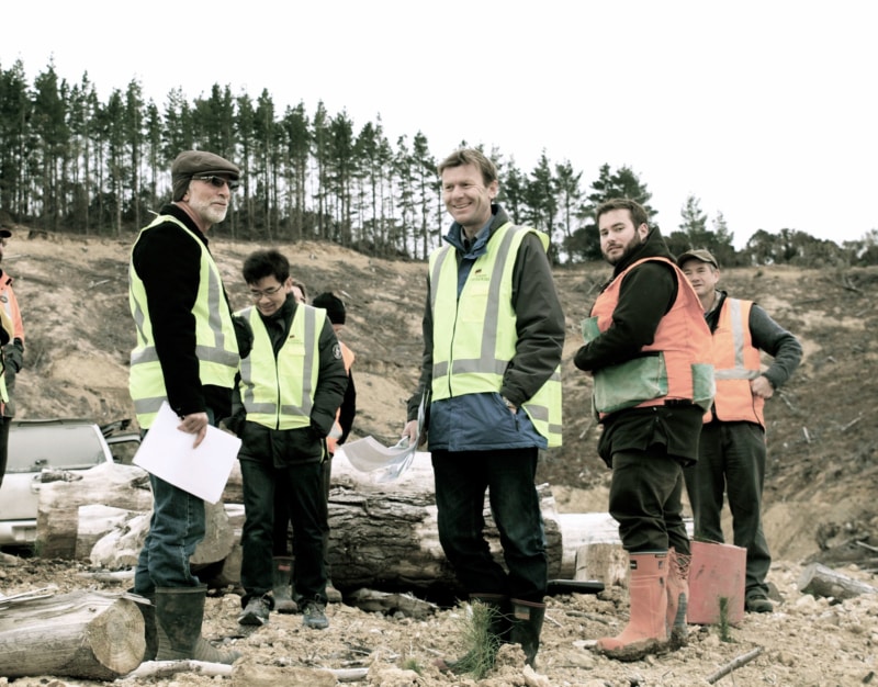 TeMaiEast290714(6)_Avada Forestenterprises.co.nz