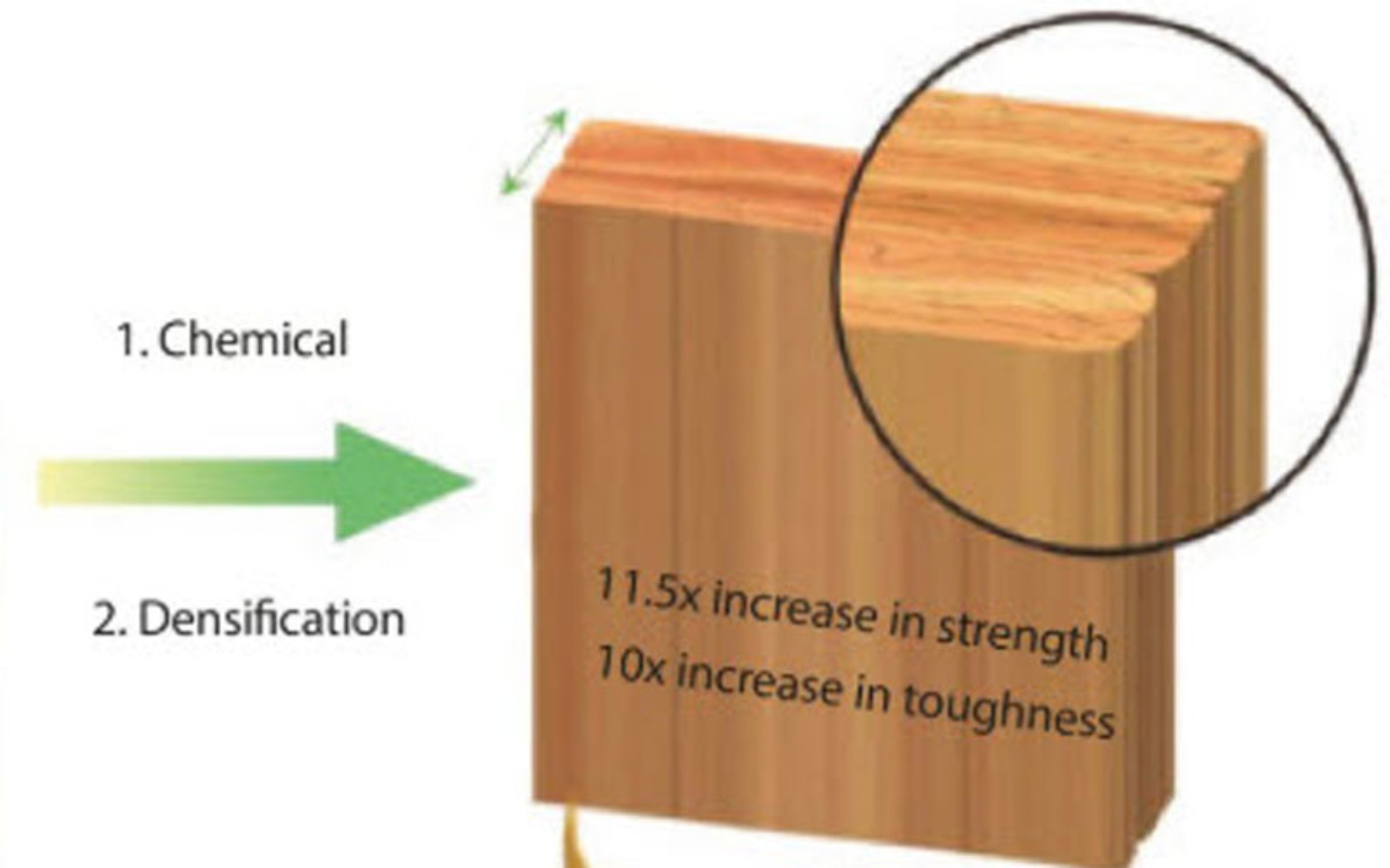 Super wood stronger than steel Forestenterprises.co.nz