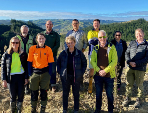 Forest Enterprises hosts ministerial inquiry panel in Gisborne